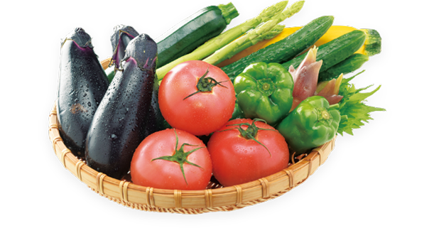 野菜BOX　阿智の野菜セット（7月～9月）